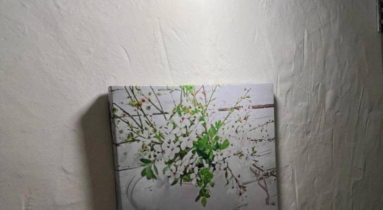 foto29
