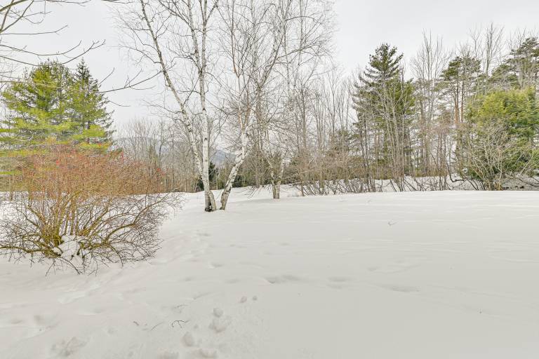 3 Mi to Windham Mountain: Pet-Friendly Apt w/ Yard — photo 3