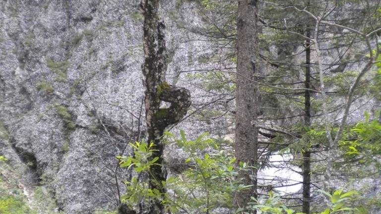 Ferienwohnung Steinberg am Rofan