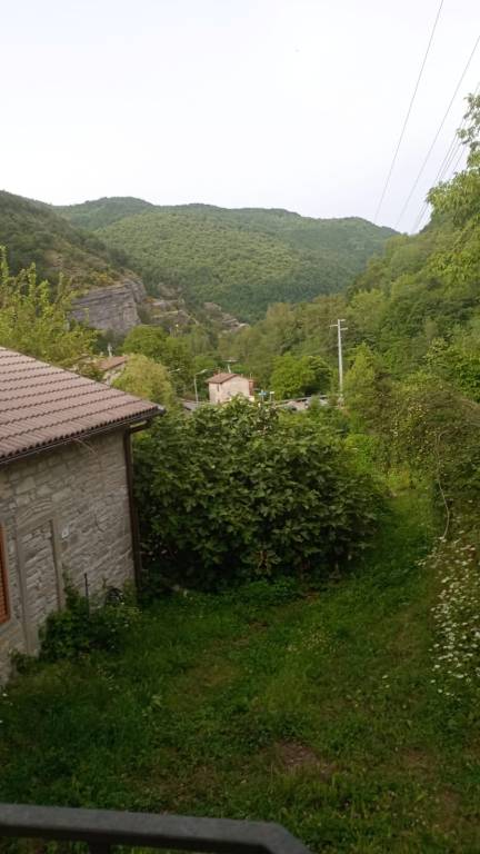 foto39