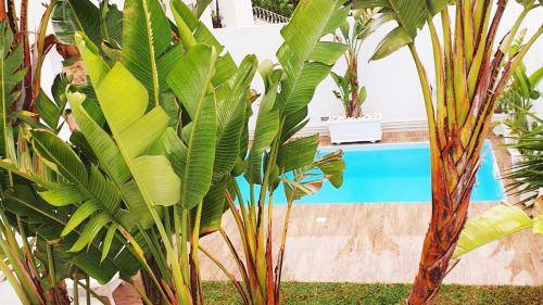 Villa Marsa
