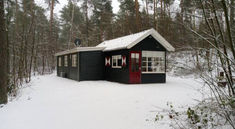 foto16