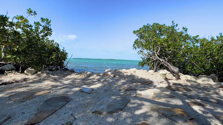 House Big Coppitt Key