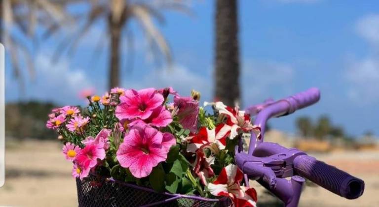 Holiday apartment | Beach nearby | Dogs allowed in San Vito Lo Capo