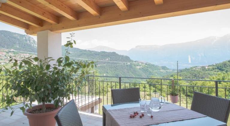 Holiday apartment with terrace & garden — photo 4