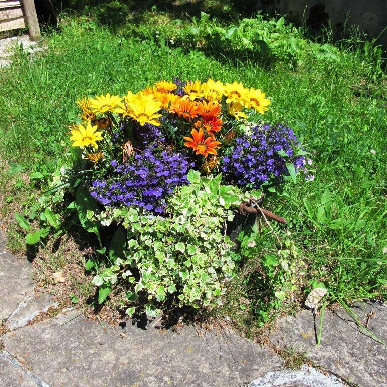 foto7