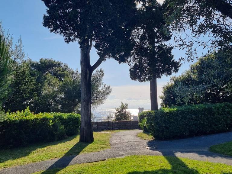foto18
