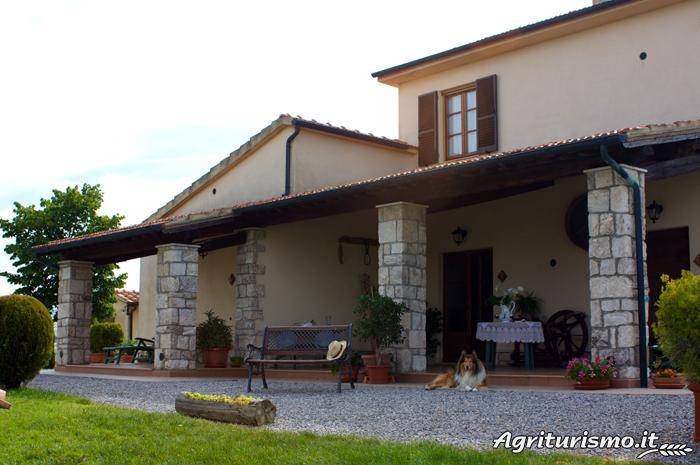 Sant'Ansano: 5. La Falce — photo 5