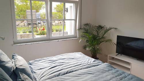 foto21