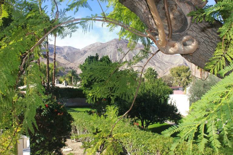 Condo  Palm Desert