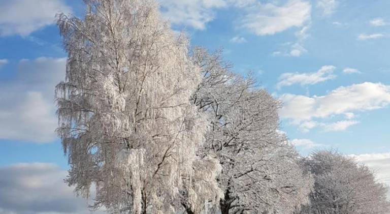foto34