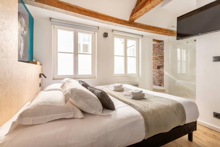 Holiday apartment | Next to Lille Cathedral | Pet-friendly in Lille
