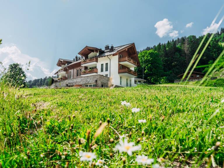 Ferienwohnung Viehhofen
