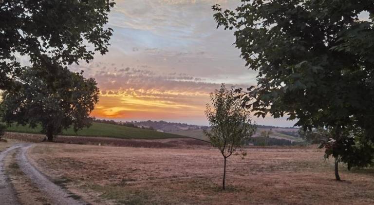 foto41