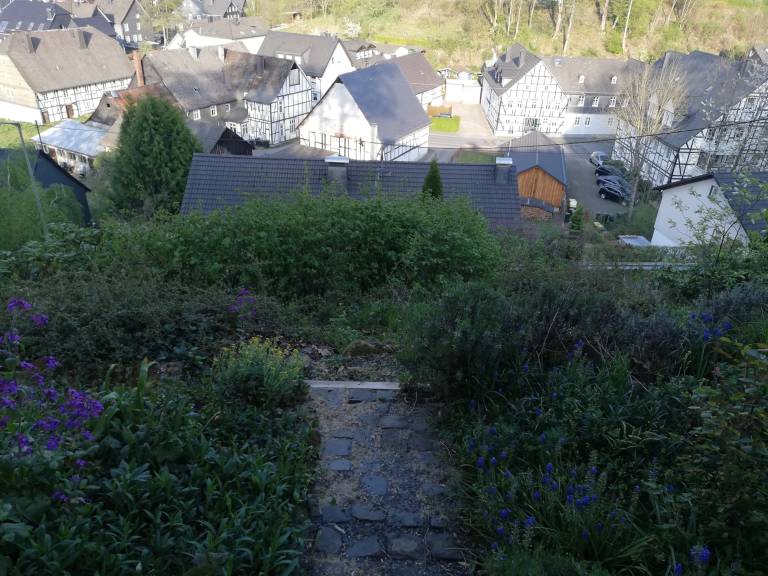 foto29