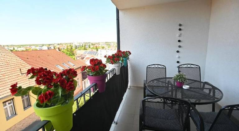 Spacious rental apartment | Dogs allowed — photo 5