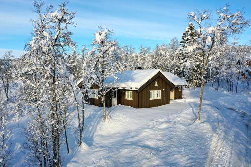 Chalet Beitostølen