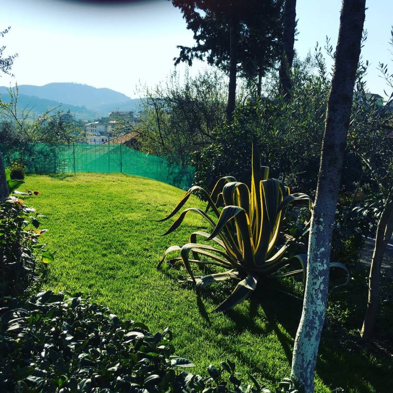 foto5