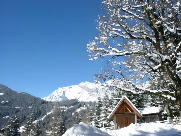 Chalet Sankt Johann im Pongau