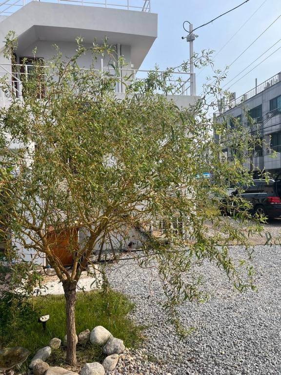 foto44