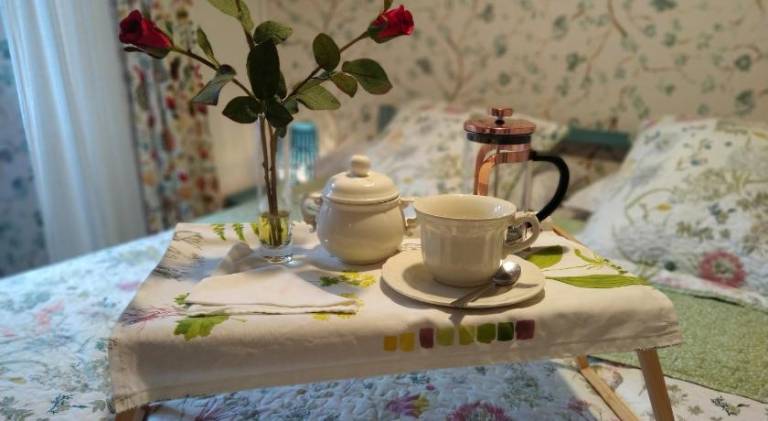 Fully equipped lovely house with terrace | Good for workation | Pets are welcome in Burgos