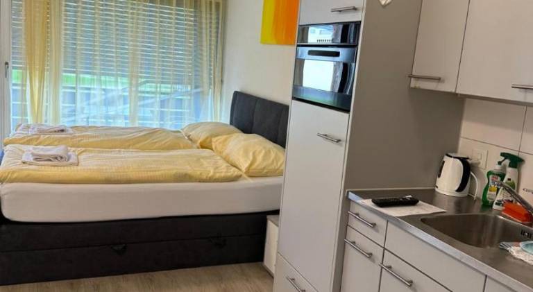Holiday apartment | Pets allowed in Unterseen