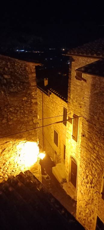foto19