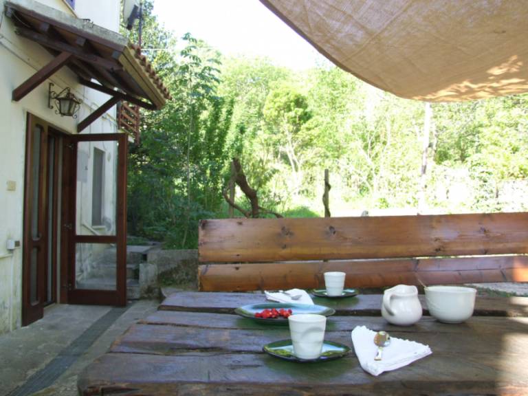 Apartment with yard & barbeque — photo 2