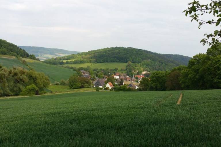 foto4