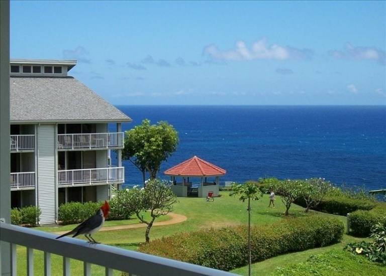 Condo Princeville