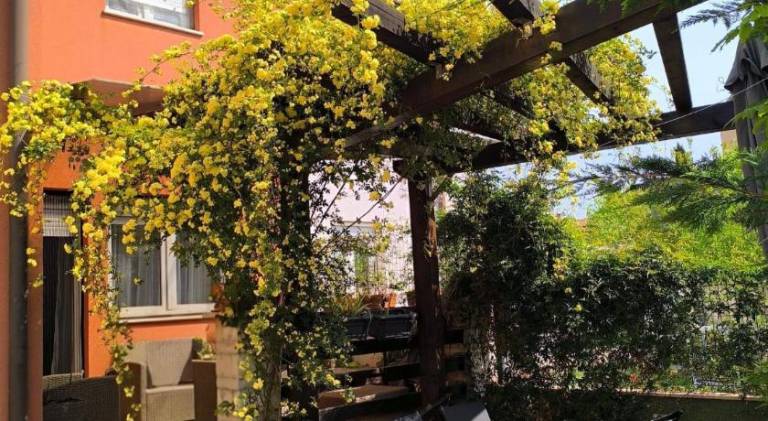 Villa with 2 rooms for 6 persons in Rovinj