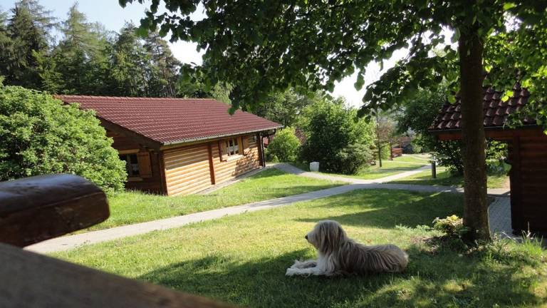 Ferienhaus Stamsried
