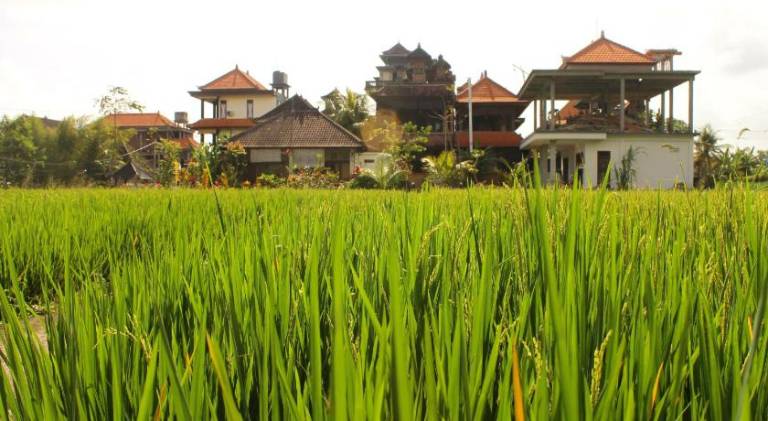 Cenik House Ubud — photo 5