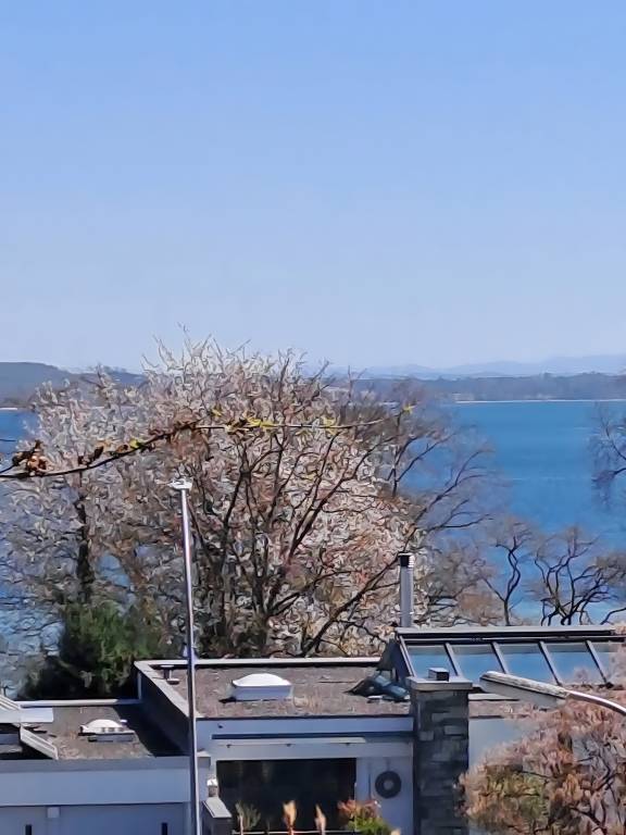 foto9