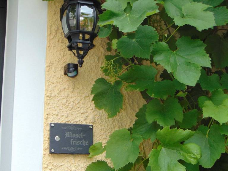 foto39
