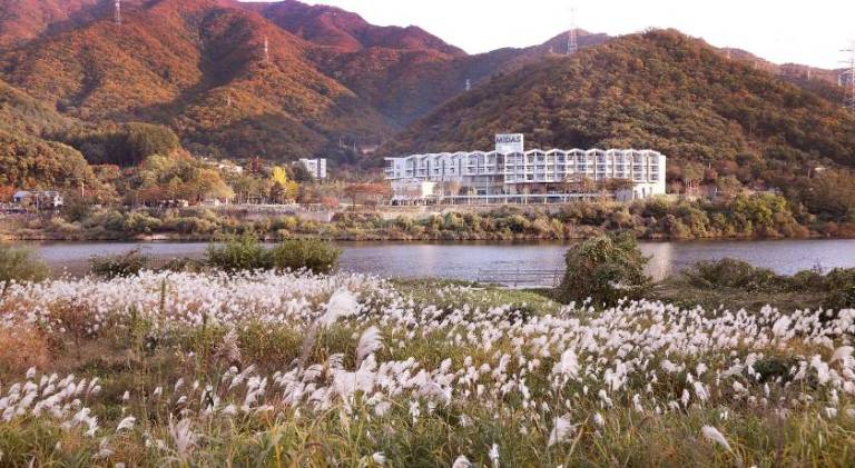 foto6