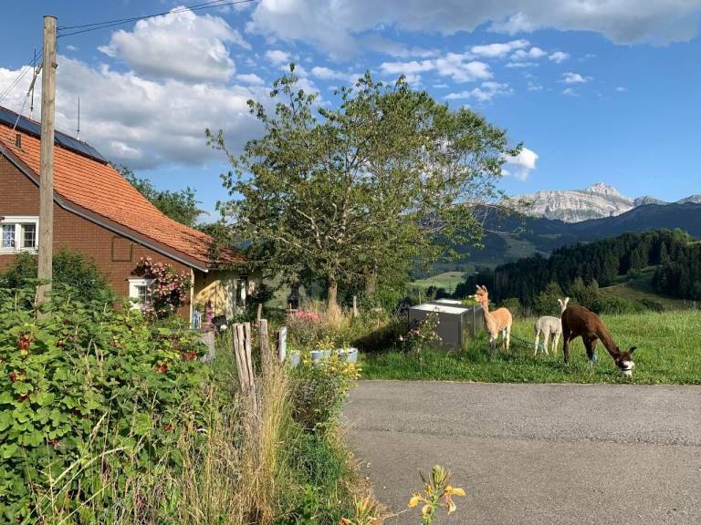 Ferienwohnung Urnäsch