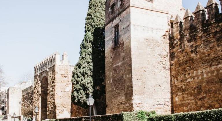 Holiday apartment | Near Mosque–Cathedral of Córdoba — photo 5