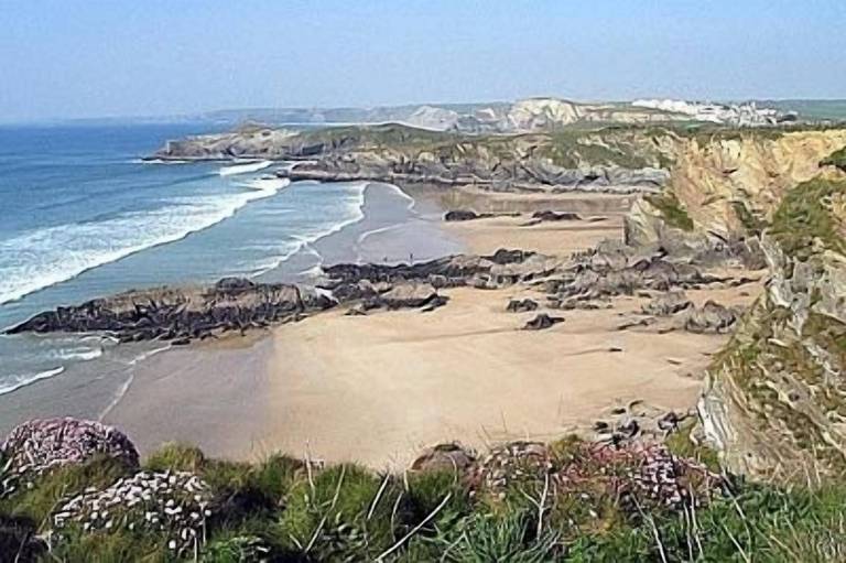 Dom Newquay