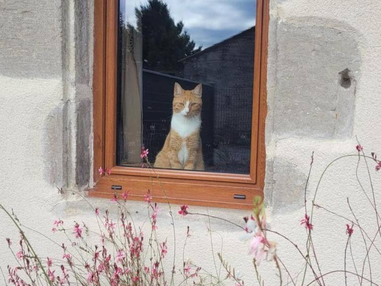 foto27