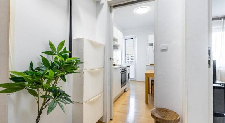 Nice holiday apartment | Good for workation | Pets allowed — photo 4