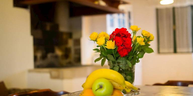 Fully equipped rental apartment with terrace | Dogs allowed — photo 5