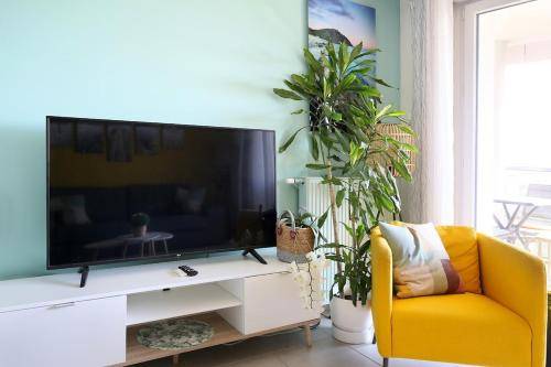 Apartment  Rangueil