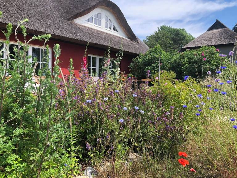 Landhaus  Schwarbe