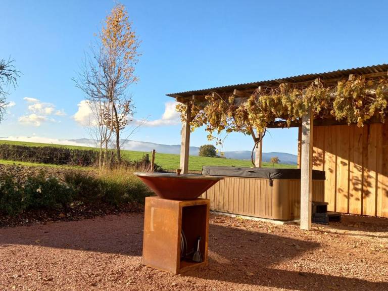 Cottage with sauna, private pool & yard — photo 4