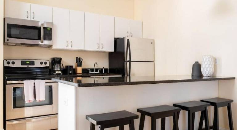 Fully equipped rental apartment | Next to Faneuil Hall | Suitable for remote work | Pet-friendly in Boston, MA