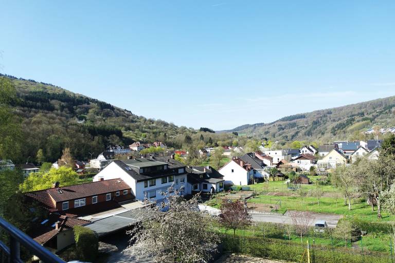 foto1