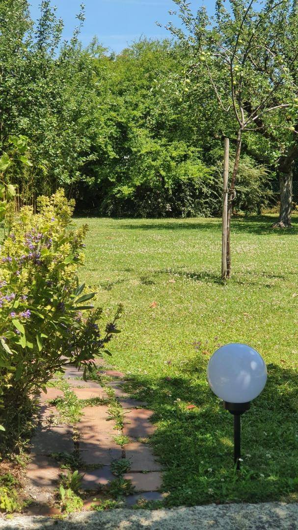 foto42