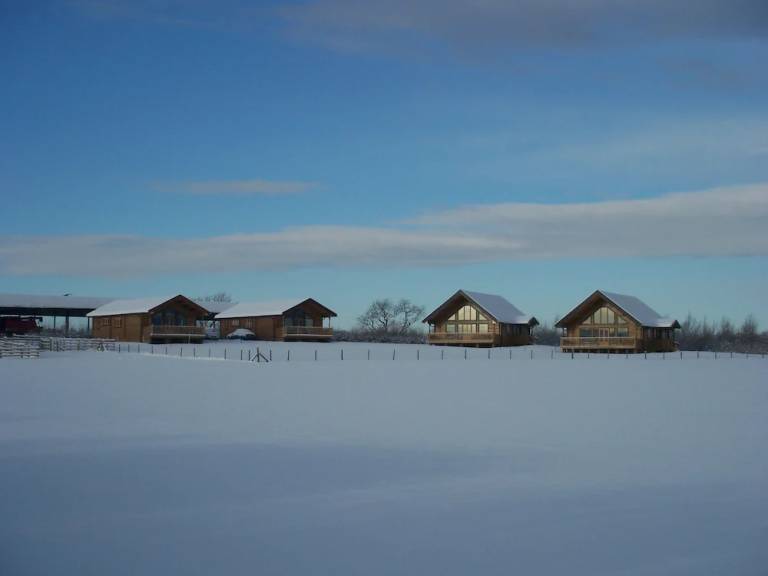 Lodge Middlesbrough