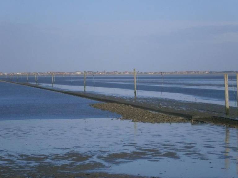 foto19